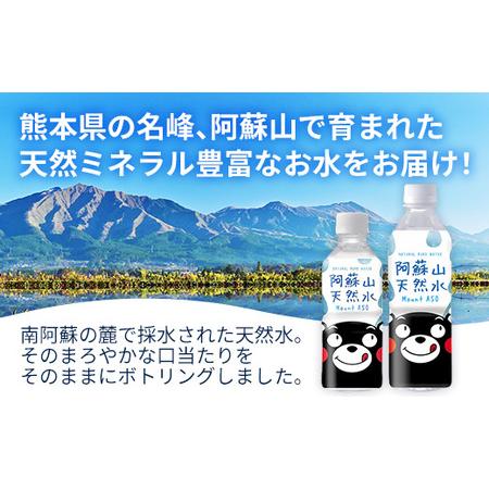 ふるさと納税 【定期便12ヶ月】熊本のおいしいお水 阿蘇山天然水 500ml×48本（2ケース）（共通返礼品・御船町） - 飲料水 ミネラルウォータ.. 熊本県甲佐町の画像