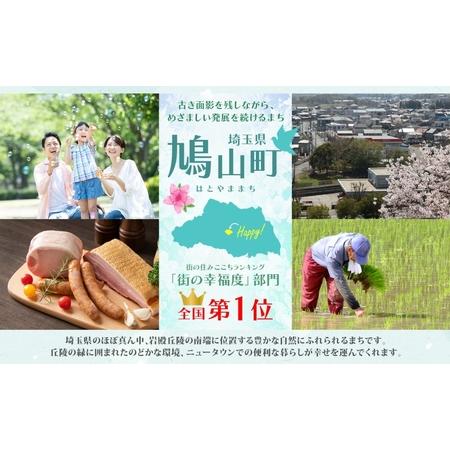 ふるさと納税 国産 キャンバス2WAYバッグ サッチェル エイコン＆チョコレート 1個 牛ヌメ革 牛ヌメ皮 牛革 真鍮 手縫い 小物入れ ハンドバッグ .. 埼玉県鳩山町の画像