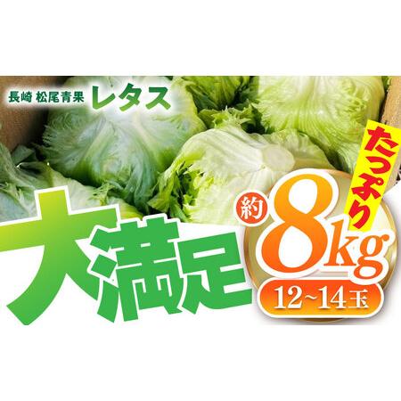 ふるさと納税 2026年 12月-発送 レタス約8kg [SGU005] レタス 長崎県南島原市_1