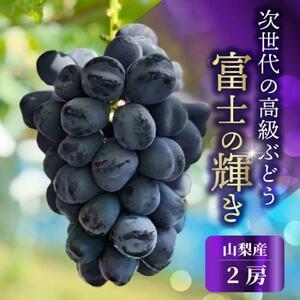 ふるさと納税 山梨市産 富士の輝き 大粒で高糖度の黒ぶどう 贈答用2房 化粧箱入り[配送不可地域:離島][1724543] 山梨県山梨市