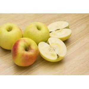 ふるさと納税 [2026年発送]甘みが強い 長野県産 りんご ぐんま名月 約1.5kg(3〜5玉程度)[1686935] 長野県中野市