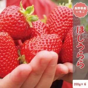 ふるさと納税 [2026年発送予定]長野県産 いちご ほしうらら 6パック[約1.2kg][配送不可地域:離島][1705154] 長野県中野市