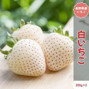ふるさと納税 [2026年発送予定]長野県産 希少 白いちご 2パック[約400g][配送不可地域:離島][1705267] 長野県中野市