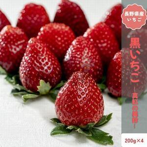 ふるさと納税 [2026年発送予定]長野県中野市産 希少黒いちご 真紅の美鈴 4パック[約800g][配送不可地域:離島][1705310] 長野県中野市