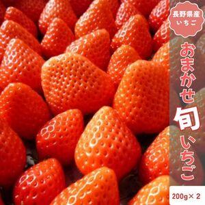 ふるさと納税 [2026年発送予定]長野県産 いちご おまかせ 2パック[約400g][配送不可地域:離島][1705361] 長野県中野市