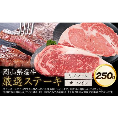 ふるさと納税 岡山県産牛 ステーキ サーロイン or リブ 交雑牛 250g お試し 大容量[60日以内に出荷予定(土日祝除く)] 岡山県 矢掛町 肉 ステ.. 岡山県矢掛町