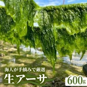 ふるさと納税 中城産 海人が手摘みで厳選 生アーサ 600g(300g×2袋)[配送不可地域:離島][1726864] 沖縄県中城村