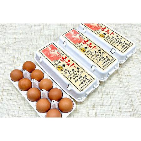 ふるさと納税 《定期便6ヶ月》 たまごの樹 純国産鶏種 卵『もみじ』36個＋割れ保証4個付き（10個入×4パック） 秋田県秋田市_2