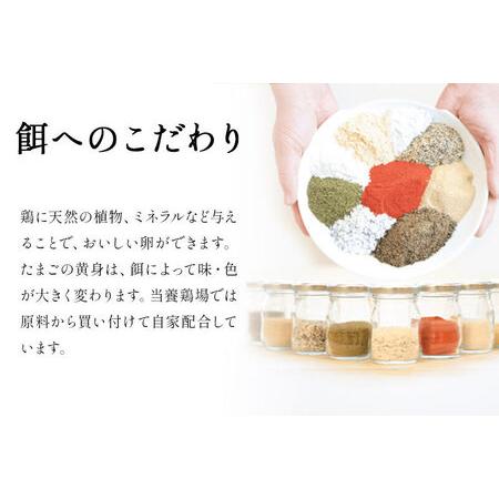 ふるさと納税 《定期便6ヶ月》 たまごの樹 純国産鶏種 卵『もみじ』36個＋割れ保証4個付き（10個入×4パック） 秋田県秋田市_4