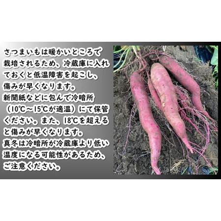 ふるさと納税 8-012-008 さつまいも（あまはづき）5kg【マルゼン佐藤果樹園】 北海道増毛町の画像