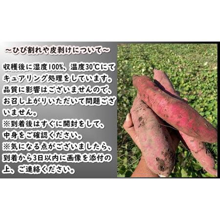 ふるさと納税 8-012-008 さつまいも（あまはづき）5kg【マルゼン佐藤果樹園】 北海道増毛町の画像