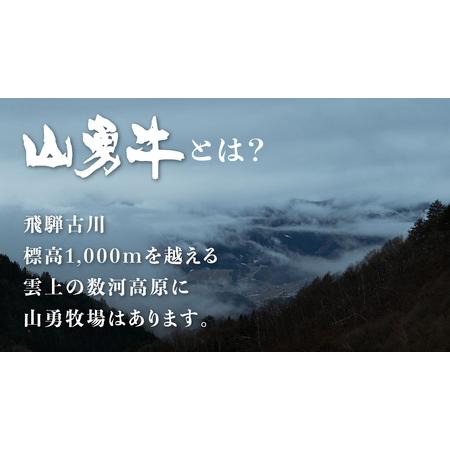 ふるさと納税 熟成めす 飛騨牛 山勇牛 熟成 肩ロース すき焼き しゃぶしゃぶ 用 500g 飛騨牛 肩ロース すき焼き 岐阜県飛騨市_2