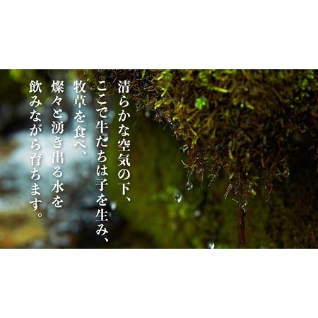 ふるさと納税 熟成めす 飛騨牛 山勇牛 熟成 肩ロース すき焼き しゃぶしゃぶ 用 500g 飛騨牛 肩ロース すき焼き 岐阜県飛騨市_3