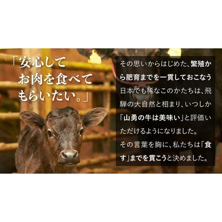 ふるさと納税 熟成めす 飛騨牛 山勇牛 熟成 肩ロース すき焼き しゃぶしゃぶ 用 500g 飛騨牛 肩ロース すき焼き 岐阜県飛騨市_4