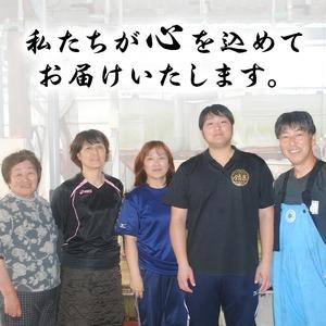 ふるさと納税 【0184359a】【緊急支援品】＜訳あり＞鰻の蒲焼き(無頭)(5〜6尾・計約750g・タレ、山椒付) うなぎ ウナギ 鰻 国産 蒲焼 蒲焼き.. 鹿児島県東串良町_3