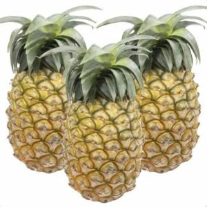 ふるさと納税 [先行予約] 石垣島産パイナップル 島パイン・ハワイ種 約2.8kg(2〜4玉) 沖縄県石垣市
