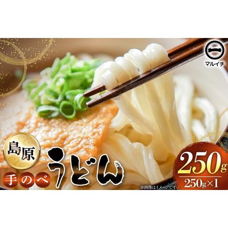 ふるさと納税 AJ296 島原 手のべうどん 250g (50g×5束×1袋) 長崎県島原市