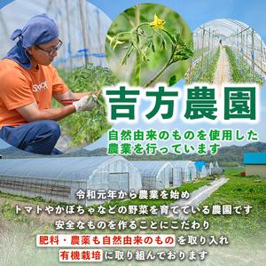 ふるさと納税 ＜全6回定期便＞濃厚！トマトジュース (1L×2本×6回・計12本)【2026年8月上旬から随時発送】 トマト トマトジュース ジュ.. 北海道士別市_4