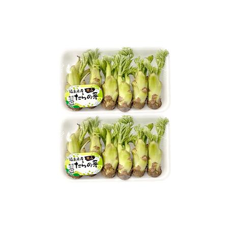 ふるさと納税 〈先行予約〉鏡石町×天栄村コラボ返礼品 山菜ごちそうセット タラの芽とふきのとう（各100g）フキノトウ たらのめ 山菜 野菜 .. 福島県鏡石町の画像