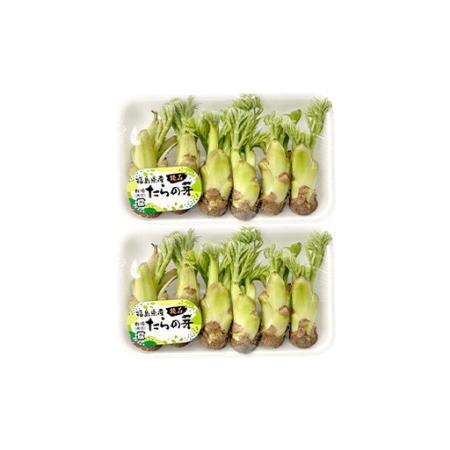 ふるさと納税 〈先行予約〉天栄村×鏡石町コラボ返礼品 山菜ごちそうセット ふきのとうとタラの芽（各100g） 山菜 野菜 食品 フキノトウ た.. 福島県天栄村の画像