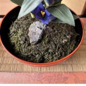 ふるさと納税 【春 桜】四季を彩る創作草もの盆栽(工芸品)〜工房 椿【配送不可地域：離島・北海道・沖縄県】【1598557】 静岡県掛川市_1
