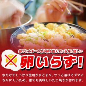 ふるさと納税 【定期便】本場大阪泉州たこ焼き 卵がいらないたこ焼き粉 500g×3パック 全2回 大阪府泉佐野市_2
