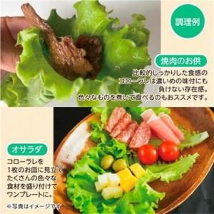 ふるさと納税 【こだわりの1種×6株】湧き水で育ったリーフレタス「掛川ラットューガ・コローラレ」【配送不可地域：離島・北海道・沖縄県・.. 静岡県掛川市_2