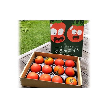 ふるさと納税 【先行予約】令和8年産 フルーツトマト はるかエイト 1箱 トマト F4G-0347 北海道下川町_1