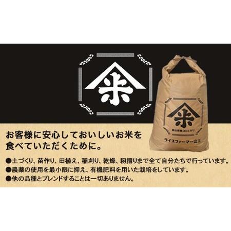 ふるさと納税 【射水市】【ライスファーマー山上】【農家直送】【射水の美味しいお米】R8年産コシヒカリ30kg【玄米】 ※2026年10月上旬〜10月下.. 富山県射水市の画像