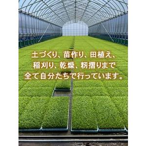 ふるさと納税 【射水市】【ライスファーマー山上】【農家直送】【射水の美味しいお米】R8年産コシヒカリ30kg【玄米】 ※2026年10月上旬〜10月下.. 富山県射水市の画像