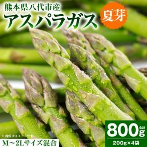 ふるさと納税 [先行予約] アスパラガス 800g (M〜2Lサイズ混合) 野菜 [2026年6月上旬より順次発送] 熊本県八代市