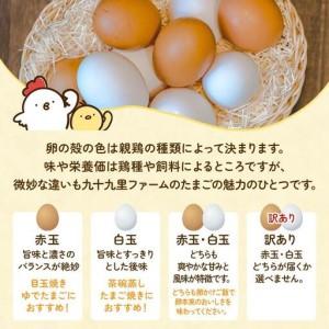 ふるさと納税 【定期便5回】九十九里ファームこだわりたまご贈答用 40個 〜あおい海・みどりの里〜《赤玉》 たまご 卵 玉子 タマゴ 赤玉 卵かけ.. 千葉県匝瑳市_1
