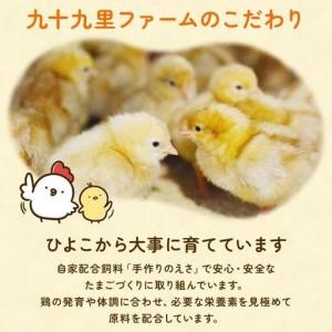ふるさと納税 【定期便5回】九十九里ファームこだわりたまご贈答用 40個 〜あおい海・みどりの里〜《赤玉》 たまご 卵 玉子 タマゴ 赤玉 卵かけ.. 千葉県匝瑳市_2