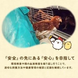 ふるさと納税 【定期便5回】九十九里ファームこだわりたまご贈答用 40個 〜あおい海・みどりの里〜《赤玉》 たまご 卵 玉子 タマゴ 赤玉 卵かけ.. 千葉県匝瑳市_3
