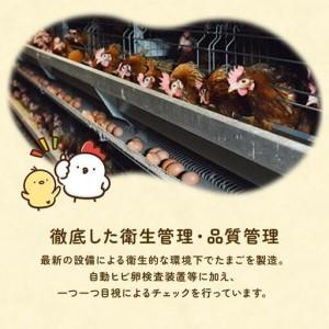 ふるさと納税 【定期便5回】九十九里ファームこだわりたまご贈答用 40個 〜あおい海・みどりの里〜《赤玉》 たまご 卵 玉子 タマゴ 赤玉 卵かけ.. 千葉県匝瑳市_4