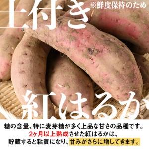 ふるさと納税 isa876 《訳あり》熟成紅はるか(約15kg・2L〜3Lサイズ混合) 訳あり さつまいも 紅はるか 鹿児島 生芋 完熟 長期熟成 土付き べに.. 鹿児島県伊佐市の画像