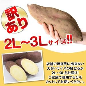 ふるさと納税 isa876 《訳あり》熟成紅はるか(約15kg・2L〜3Lサイズ混合) 訳あり さつまいも 紅はるか 鹿児島 生芋 完熟 長期熟成 土付き べに.. 鹿児島県伊佐市の画像