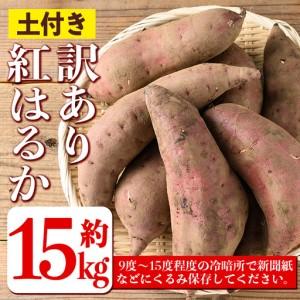 ふるさと納税 isa876 《訳あり》熟成紅はるか(約15kg・2L〜3Lサイズ混合) 訳あり さつまいも 紅はるか 鹿児島 生芋 完熟 長期熟成 土付き べに.. 鹿児島県伊佐市の画像