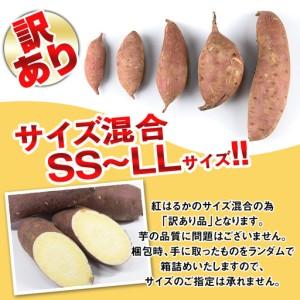 ふるさと納税 isa878 《訳あり》熟成紅はるか(約15kg・SS〜LLサイズ混合) 訳あり さつまいも 紅はるか 鹿児島 生芋 完熟 長期熟成 土付き べに.. 鹿児島県伊佐市の画像