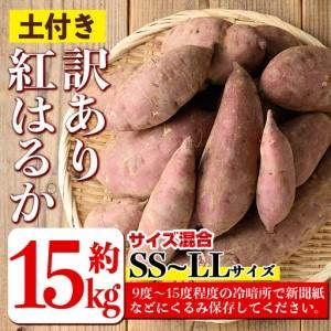 ふるさと納税 isa878 《訳あり》熟成紅はるか(約15kg・SS〜LLサイズ混合) 訳あり さつまいも 紅はるか 鹿児島 生芋 完熟 長期熟成 土付き べに.. 鹿児島県伊佐市の画像