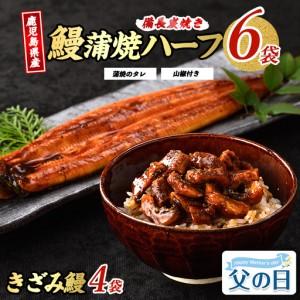 ふるさと納税 [父の日ギフト]鹿児島県産 うなぎ ハーフ6袋と きざみ 4袋のセット 奈良 IB020-005f うなぎ 鹿児島県指宿市