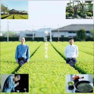 ふるさと納税 【令和8年産 新茶予約】知覧茶園のオリジナルペットボトル24本入【1720582】 鹿児島県南九州市_2