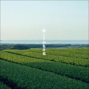 ふるさと納税 【令和8年産 新茶予約】知覧茶園のオリジナルペットボトル24本入【1720582】 鹿児島県南九州市_3