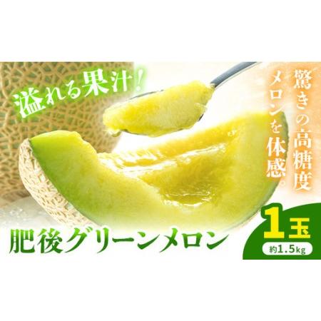 ふるさと納税 [先行予約]肥後グリーンメロン 1玉 約1.5kg 日本フルーツ株式会社[5月上旬-7月下旬頃出荷]熊本県 菊池市 メロン 熊本県産 熊本県菊池市