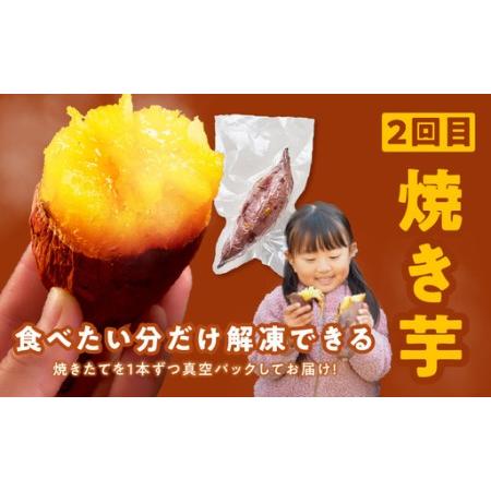 ふるさと納税 【定期便】干し芋 600g/焼き芋1kg 全2回 交互便 大阪府泉佐野市の画像