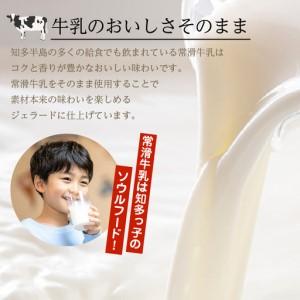 ふるさと納税 ジェラード 常滑牛乳使用 110ml×6カップ【3カ月定期便】 愛知県常滑市の画像