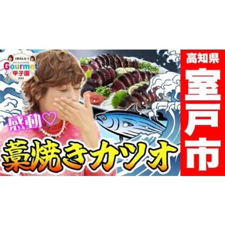 ふるさと納税 【年6回奇数月定期便】かつおのたたき 4節 かつお kr043 高知県室戸市_4