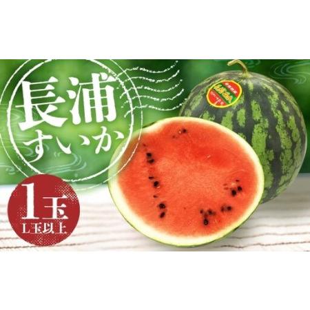 ふるさと納税 [地元民が愛する幻のすいか] 長浦すいか (L玉以上/6kg〜) [2026年6月上旬〜6月下旬迄発送予定] 琴海 果汁 食感 旬 すいか .. 長崎県長崎市