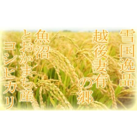ふるさと納税 【令和8年産 先行予約】【雪国逸品15kg】 越後妻有の郷 魚沼十日町産コシヒカリ お米 精米 白米 良質 ミネラル 極上 新鮮 香り .. 新潟県十日町市の画像