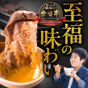 ふるさと納税 宮崎牛スライス2種セット500g×4パック≪みやこんじょ快速便≫_AF-N2-001-2000-R 宮崎県都城市_2